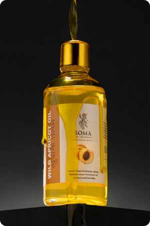Wild Apricot Oil/ खुबानी तैलम