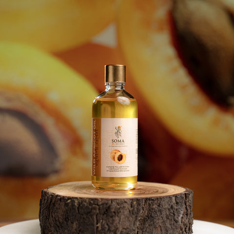 Wild Apricot Oil/ खुबानी तैलम